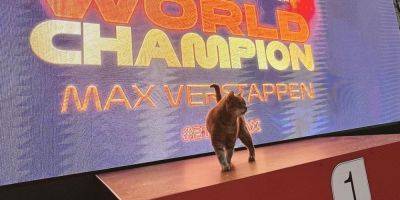 Льюис Хэмилтон - Себастьян Феттель - Умер легендарный кот Формулино: он был VIP-персоной на Гран-при Формулы-1 - nv.ua - Украина