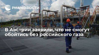 В Австрии заявили, что не смогут обойтись без российского газа, даже в будущем - smartmoney.one - Австрия - Россия - Украина