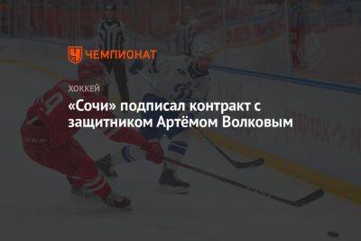 Артем Волков - «Сочи» подписал контракт с защитником Артёмом Волковым - championat.com - Москва - Россия - Сочи