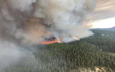 Лесные пожары в Канаде в этом году охватили территорию больше Болгарии - korrespondent.net - Украина - Канада - Болгария