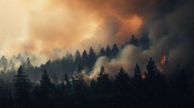 Из-за лесных пожаров на Гавайях более тысячи человек пропали без вести - ru.slovoidilo.ua - США - Украина - Канада - USA - штат Гавайи