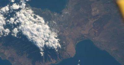 Смертельные пожары на Гавайях: NASA показало впечатляющие снимки с борта МКС (фото) - focus.ua - США - Украина - штат Гавайи