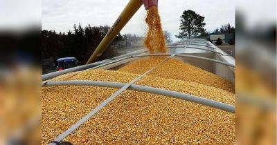 Уже этой осенью: Латвия планирует подключиться к перевозке украинского зерна - fakty.ua - Украина - Латвия