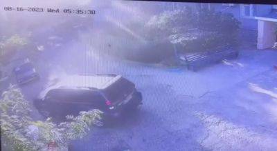 Полицейские сбили женщину, вызжая со двора задним ходом: все закончилось трагически - politeka.net - Украина - Одесская обл.