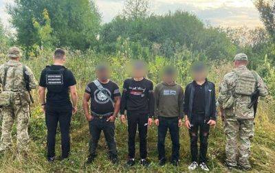В Закарпатье остановили 15 нарушителей границы - korrespondent.net - Украина - Румыния - Венгрия - Словакия - Закарпатья