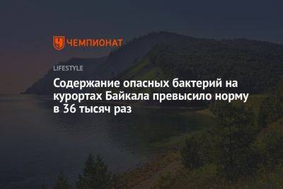 Содержание опасных бактерий на курортах Байкала превысило норму в 36 тысяч раз - championat.com - Россия