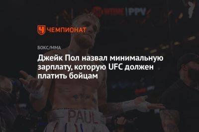 Джейк Пол - Джейк Пол назвал минимальную зарплату, которую UFC должен платить бойцам - championat.com