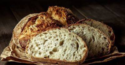 Секрет хрустящей корочки и аромата. Ученые рассказали, что делает домашний хлеб таким вкусным - focus.ua - Украина - Германия