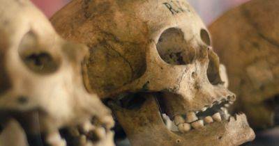 Древние люди в Японии не случайно деформировали свои черепа: археологи выяснили зачем (фото) - focus.ua - Украина - Япония