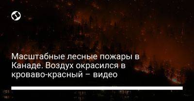 Масштабные лесные пожары в Канаде. Воздух окрасился в кроваво-красный – видео - liga.net - Москва - Украина - Канада