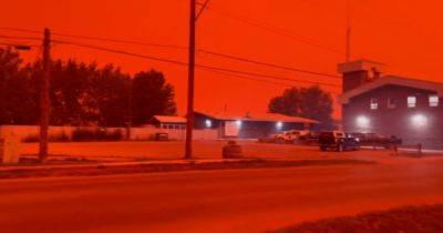 Небо покраснело: в Канаде одновременно бушует 1000 лесных пожаров (видео) - focus.ua - Украина - Канада - штат Гавайи