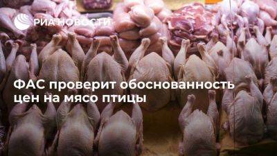 ФАС проверит обоснованность оптово-отпускных цен на мясо птицы - smartmoney.one - Россия