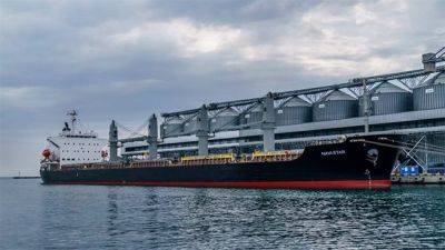 Три судна под охраной НАТО отправились в Украину для загрузки пшеницы, в нарушение российского эмбарго - obzor.lt - Россия - Украина - Турция - Румыния - Измаил