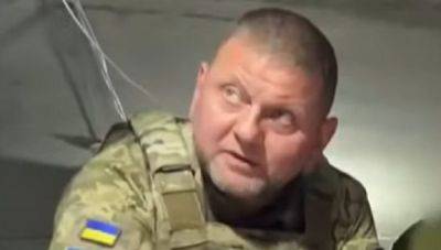 Валерий Залужный - Контрнаступление вблизи, Залужный показал могучего "зверя": "Огонь!" - politeka.net - Украина - Крым - Херсон