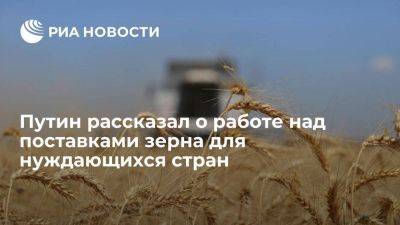 Владимир Путин - Реджеп Тайип Эрдоган - Тайип Эрдоган - Путин рассказал Эрдогану о проработке вариантов поставок зерна для нуждающихся стран - smartmoney.one - Россия - Санкт-Петербург - Турция