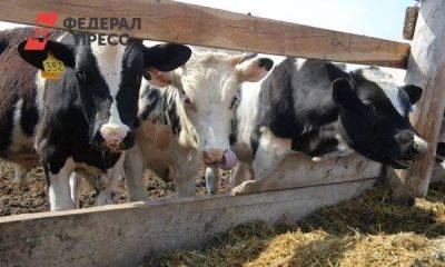 Красноярские производители молока получат господдержку на 400 миллионов - smartmoney.one - Красноярский край - Красноярск
