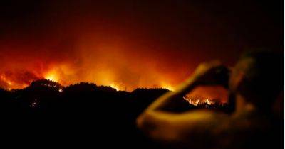 Неконтролируемый пожар на Тенерифе: эвакуировали уже 26 тысяч человек - dsnews.ua - Украина - Испания