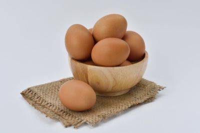 Скандал с закупками яиц - поселковый совет на Волыни хочет покупать яйца по завышенным ценам - apostrophe.ua - Украина - Кременчуг