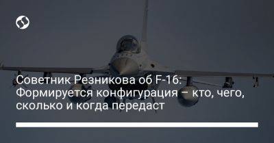 Алексей Копытько - Алексей Резников - Советник Резникова об F-16: Формируется конфигурация - кто, чего, сколько и когда передаст - liga.net - Украина - Вильнюс