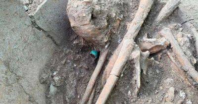 Мексика - В Мексике нашли захоронение человека с нефритовым перстнем в кувшине - фото - apostrophe.ua - Украина - Испания - Mexico