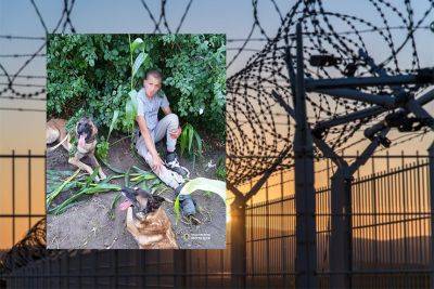На Вінниччині знайшли втікача з колонії: на слід вивели службові собаки - real-vin.com - Украина - Молдавия