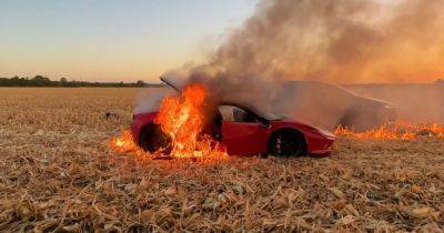 Суперкар Ferrari за $400 000 сгорел дотла во время езды по кукурузному полю (видео) - focus.ua - Украина