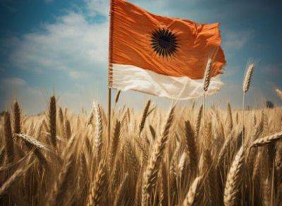 Индия хочет купить много зерна, но со скидкой - smartmoney.one - Москва - Россия - США - Украина - Казахстан - Германия - Индия - Анкара