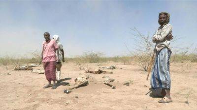 HRW: Саудовские пограничники убили не менее сотни мигрантов из Эфиопии - svoboda.org - Саудовская Аравия - Йемен - Эфиопия