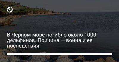 Руслан Стрелец - В Черном море погибло около 1000 дельфинов. Причина — война и ее последствия - liga.net - Россия - Украина - Турция - Болгария - Херсон - Экология