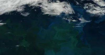 Океаны Земли меняют цвет из-за изменения климата - dialog.tj