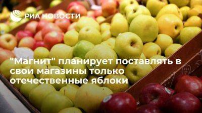 "Магнит" планирует полностью импортозаместить в своей сети ассортимент яблок - smartmoney.one - Россия - Краснодарский край - Ставрополье