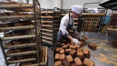 Минсельхоз опроверг прогнозы о резком повышении цен на хлеб - smartmoney.one - Россия