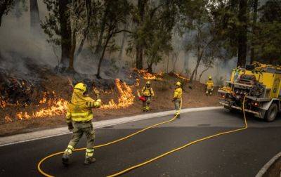 Огонь уничтожил почти треть лесов на Тенерифе - korrespondent.net - Украина - Испания - Канада