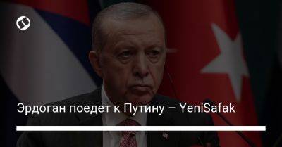 Владимир Путин - Реджеп Тайип Эрдоган - Эрдоган поедет к Путину – YeniSafak - liga.net - Россия - Украина - Турция