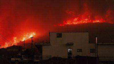 Греция: число жертв второй волны лесных пожаров выросло до 26 - ru.euronews.com - Греция