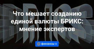 Что мешает созданию единой валюты БРИКС: мнение экспертов - smartmoney.one - Россия - Китай - США - Мексика - Бразилия - Иран - Индия - Саудовская Аравия - Эмираты - Нигерия - Юар - Йоханнесбург - Индонезия