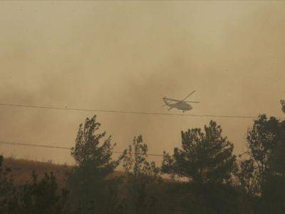 Из-за лесных пожаров в Турции остановили движение судов в проливе Чанаккале - unn.com.ua - Украина - Киев - Турция