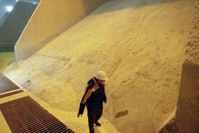 Соя и кукуруза во вторник подешевели в Чикаго - smartmoney.one - Москва - США - шт. Огайо - Reuters