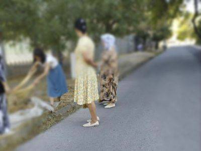 Директора ташкентской школы оштрафовали за привлечение учителей к уборке территории - podrobno.uz - Узбекистан - Ташкент - район Яшнабадский