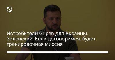 Владимир Зеленский - Николай Олещук - Истребители Gripen для Украины. Зеленский: Если договоримся, будет тренировочная миссия - liga.net - Украина - Швеция