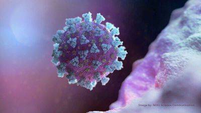 В ВОЗ начали склоняться к версии о естественном происхождении COVID-19 - koronavirus.center - Китай
