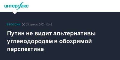 Владимир Путин - Путин не видит альтернативы углеводородам в обозримой перспективе - smartmoney.one - Москва - Россия