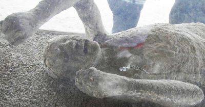 Сохранили, но повредили: фигуры жертв Везувия загрязнены гипсом - focus.ua - Украина - Испания