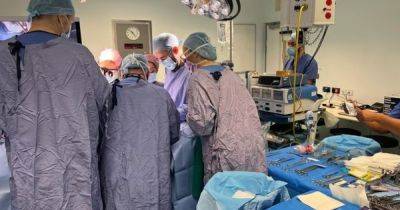 В Великобритании провели первую трансплантацию матки: донором стала сестра пациентки - focus.ua - Украина - Англия - Великобритания