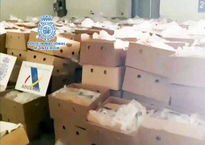 В Испании полиция нашла в коробках с бананами 9,5 тонн кокаина - vinegret.cz - Испания - Чехия - Эквадор - Амстердам