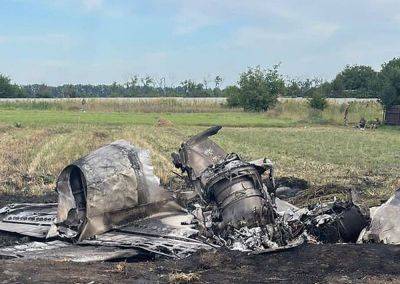 Житомирщина, до сліз: у небі зіштовхнулися два літаки L-39, пілоти загинули. Фото з місця - ukrainianwall.com - Украина