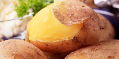 Еще быстрее. Как ускорить отваривание картофеля в мундире — два простых лайфхака - nv.ua - Украина
