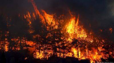 В Перу горят леса, по меньшей мере пять человек погибли - ru.slovoidilo.ua - Украина - Боливия - Перу