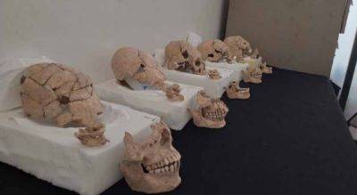 Майя - В Мексике нашли удлиненные черепа людей, которые были принесены в жертву древними майя - фото - apostrophe.ua - Украина - Израиль - Мексика