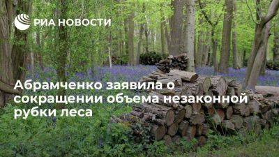 Михаил Мишустин - Виктория Абрамченко - Викторий Абрамченко - Абрамченко: объем незаконной рубки леса сократился в 2,5 раза за три года - smartmoney.one - Россия